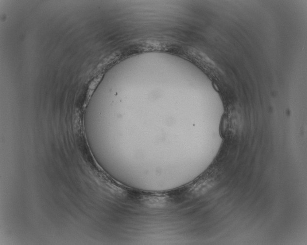 X0000077320318200611101504