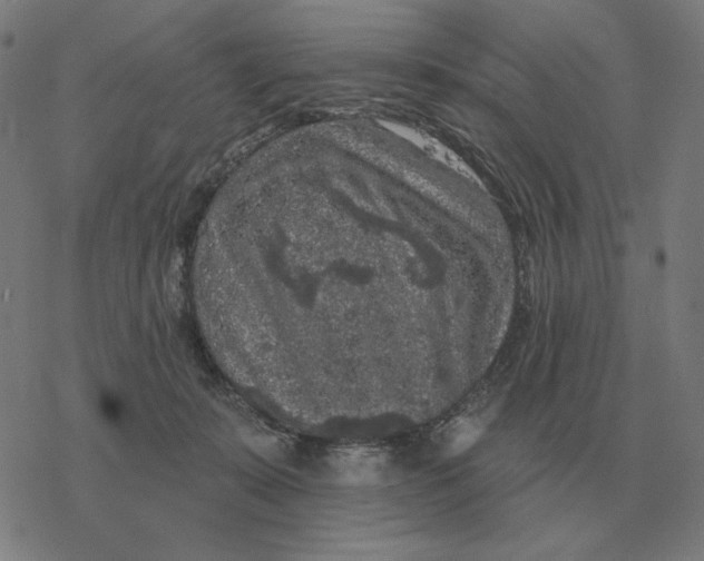 X0000077320319200611101504