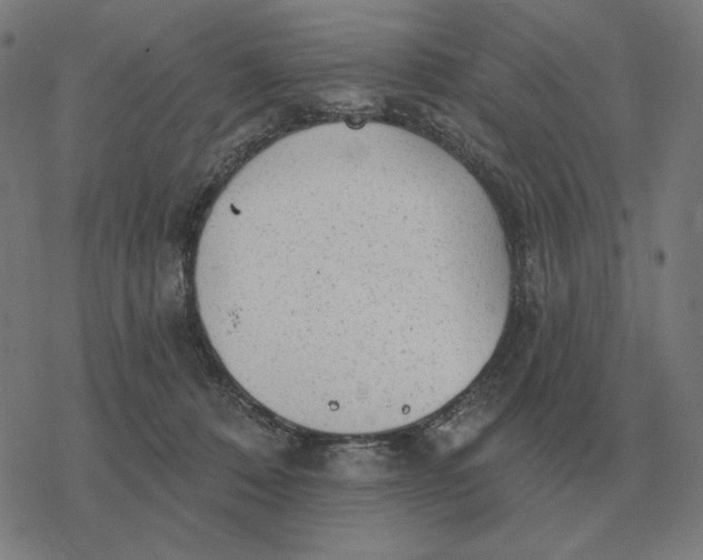 X0000077320320200611101504