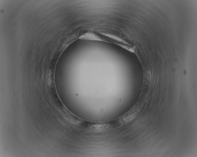 X0000077320323200611101504