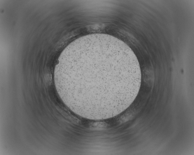 X0000077320324200611101504