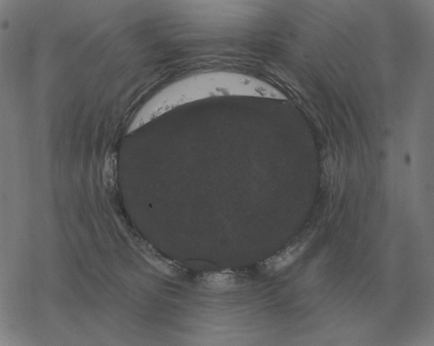 X0000077320325200611101504