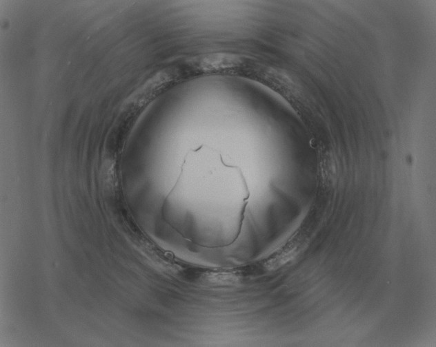 X0000077320327200611101504