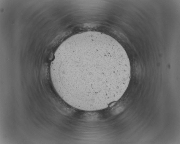 X0000077320328200611101504