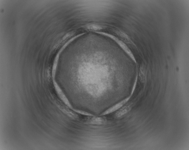 X0000077320330200611101504