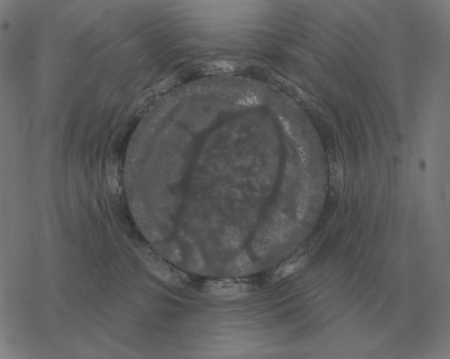 X0000077320331200611101504