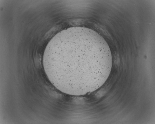 X0000077320332200611101504