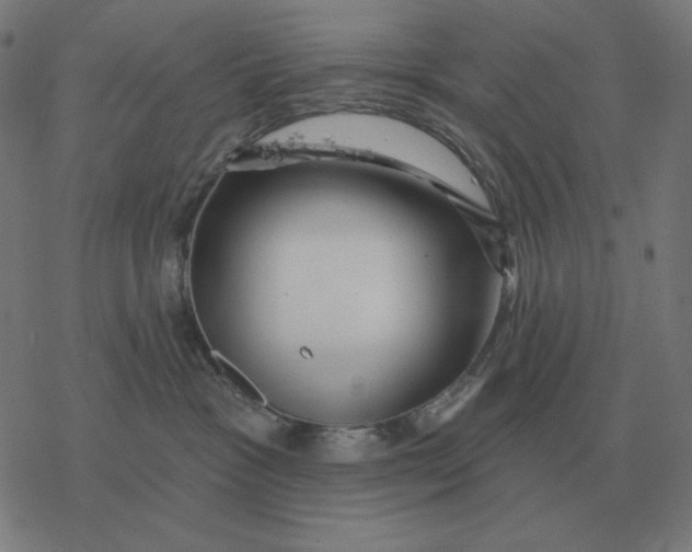 X0000077320333200611101504