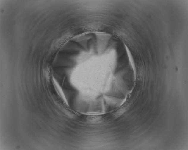 X0000077320334200611101504