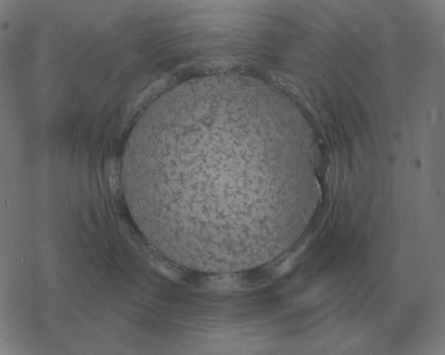 X0000077320335200611101504