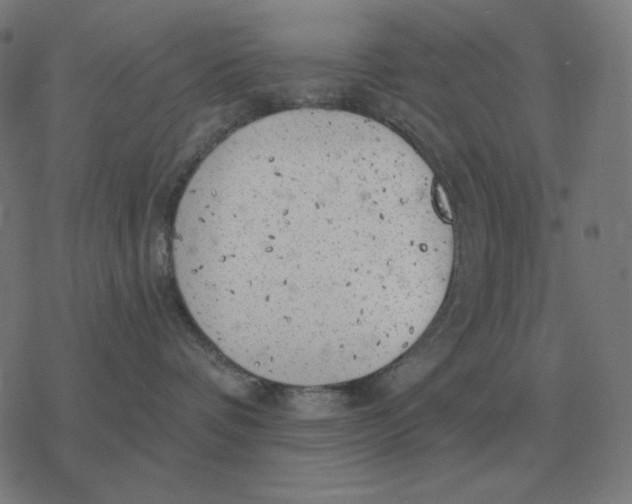 X0000077320336200611101504