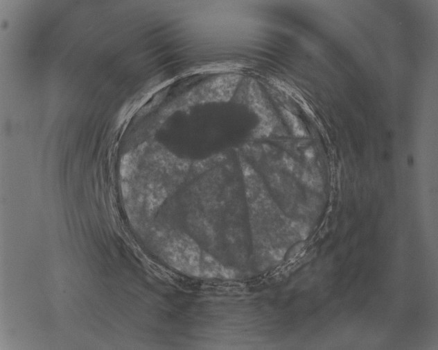 X0000077320337200611101503