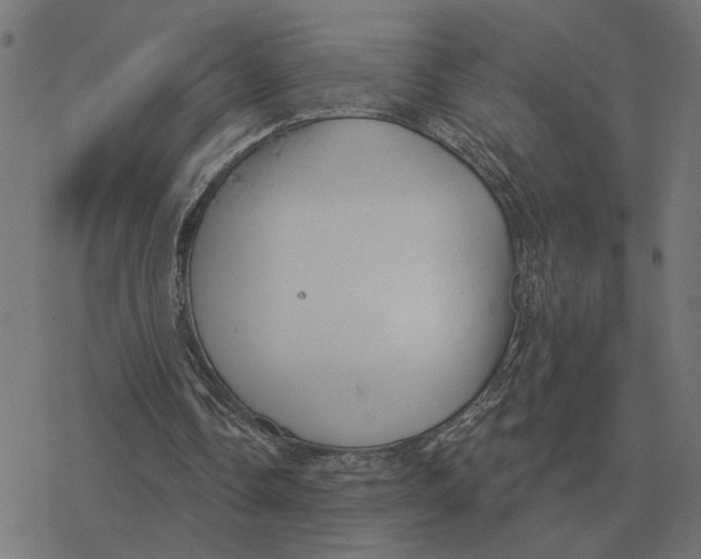 X0000077320338200611101503