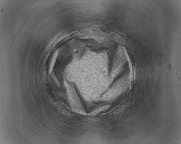 X0000077320339200611101503