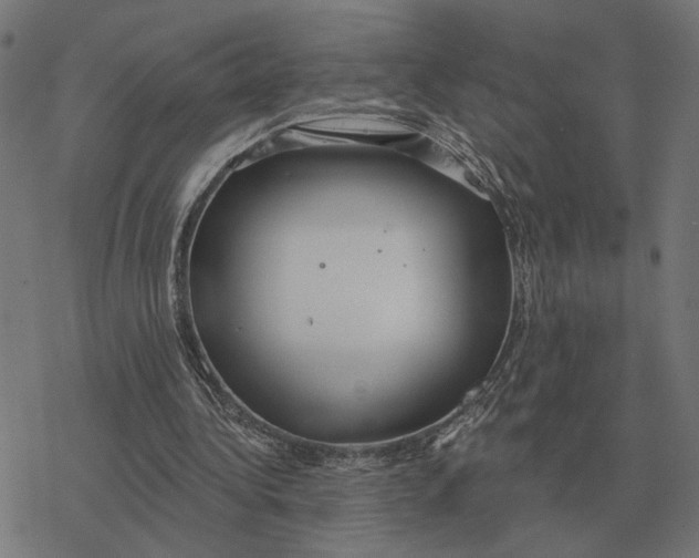 X0000077320340200611101503