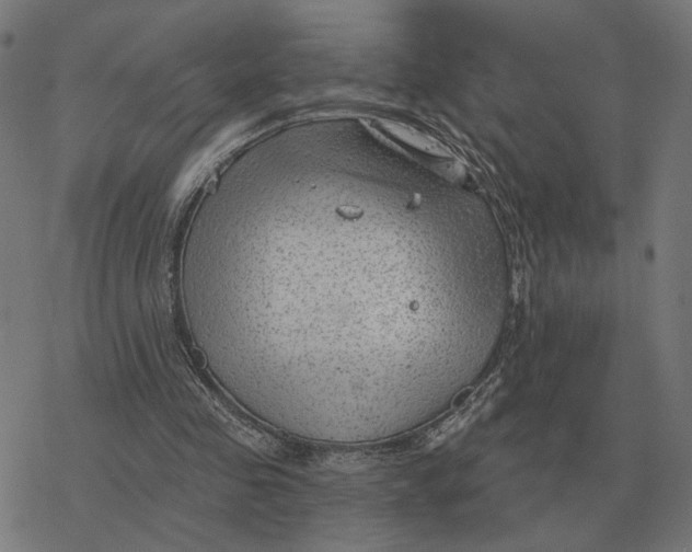 X0000077320341200611101503