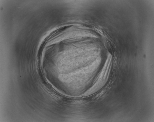 X0000077320342200611101503