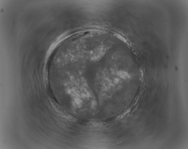 X0000077320343200611101503