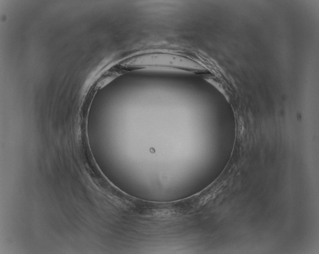 X0000077320344200611101503