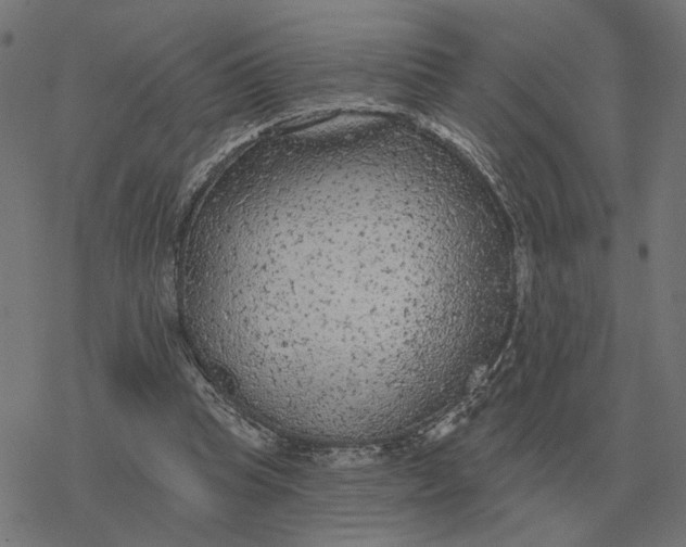 X0000077320345200611101504