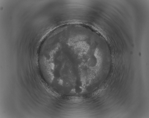 X0000077320347200611101504