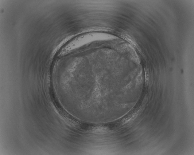 X0000077320348200611101504