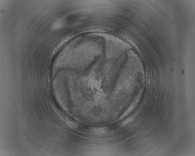 X0000077320349200611101504