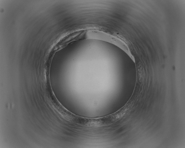 X0000077320350200611101504