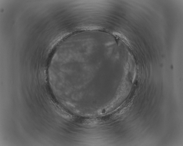 X0000077320351200611101504