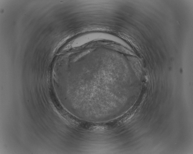 X0000077320352200611101504