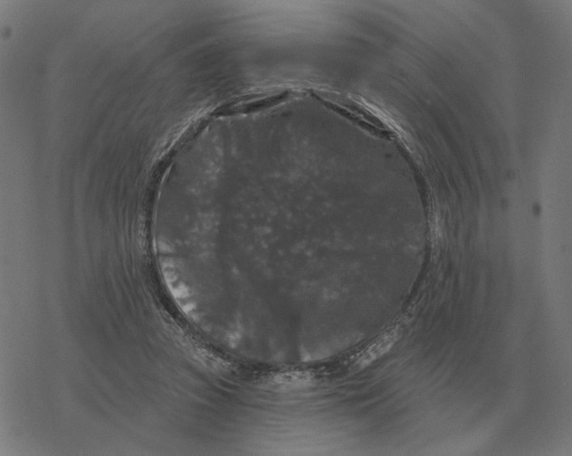 X0000077320353200611101504