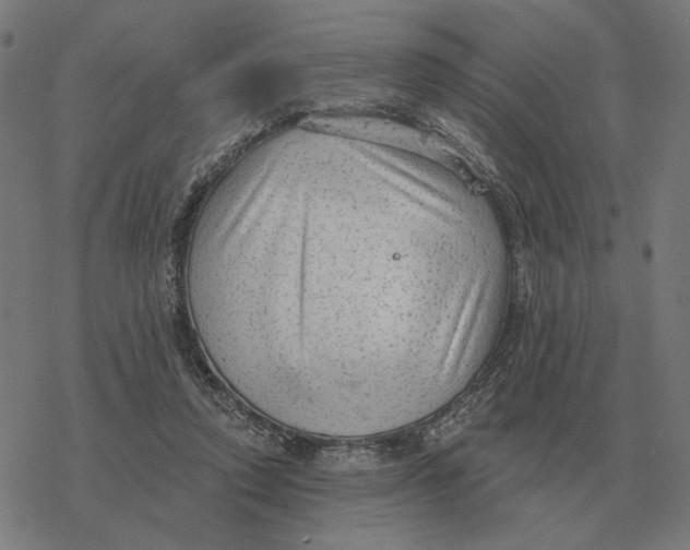 X0000077320354200611101504