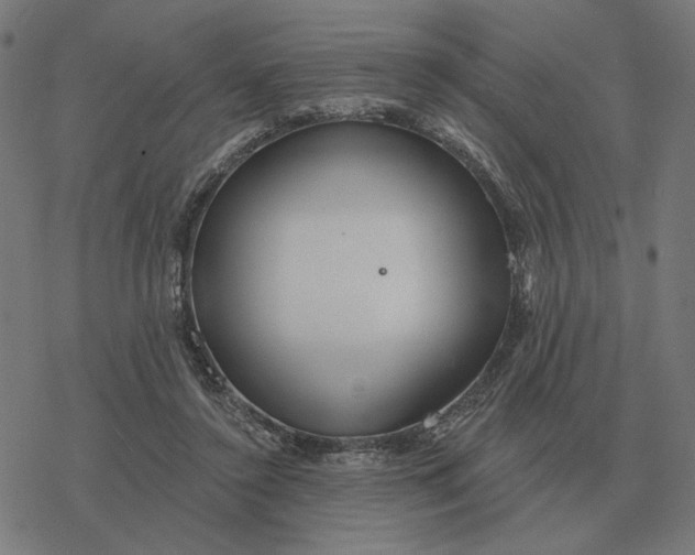 X0000077320356200611101504