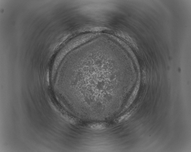 X0000077320358200611101504