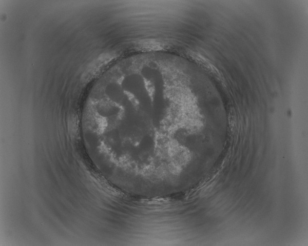 X0000077320359200611101504