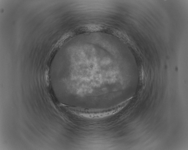 X0000077320360200611101504