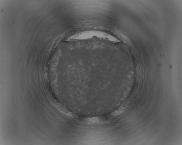 X0000077320361200611101504