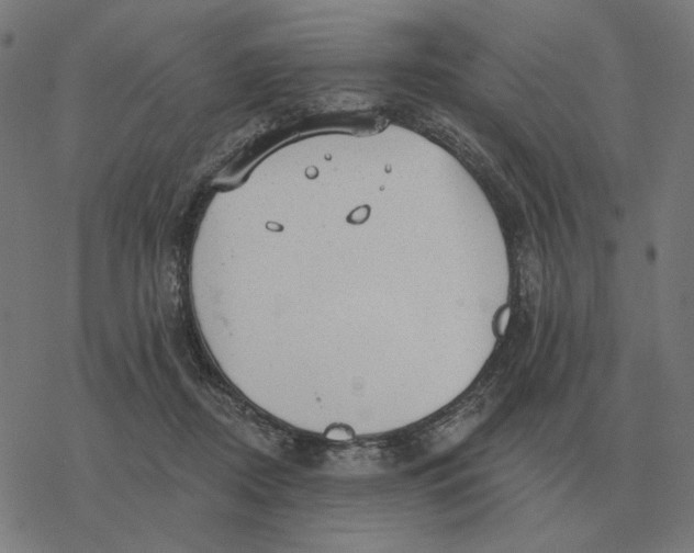 X0000077320362200611101504