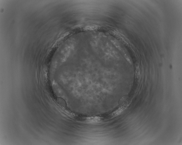 X0000077320363200611101504