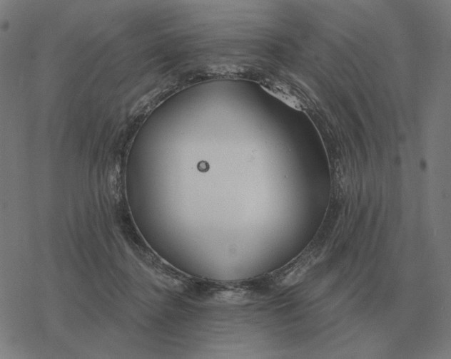 X0000077320364200611101504