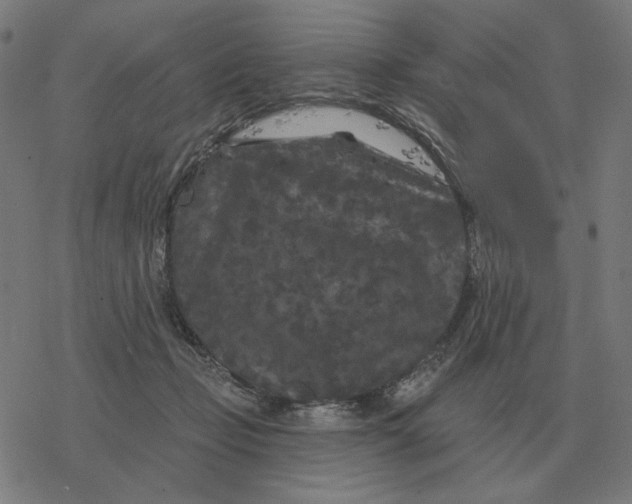 X0000077320365200611101504