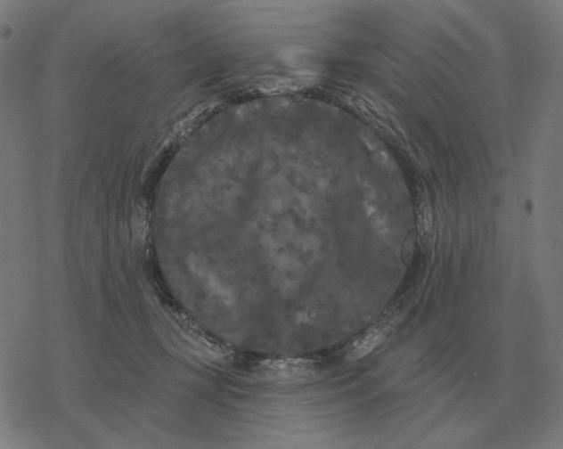 X0000077320367200611101504