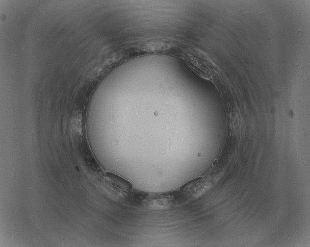 X0000077320368200611101504