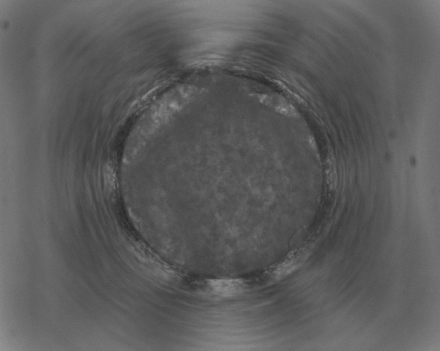 X0000077320371200611101504