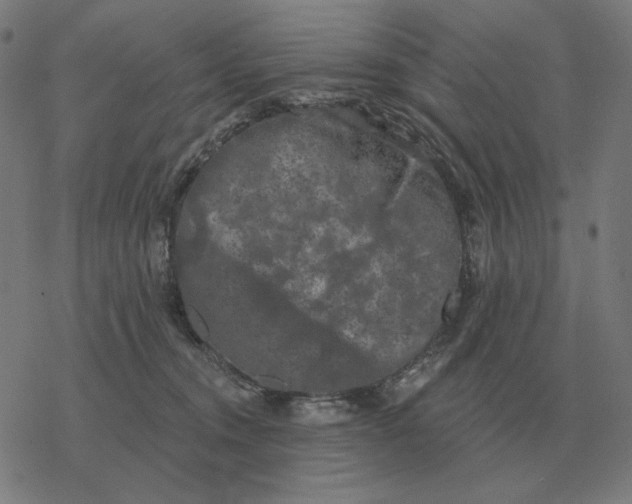 X0000077320372200611101504