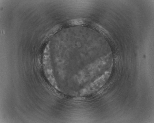 X0000077320373200611101504