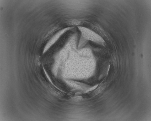 X0000077320374200611101504