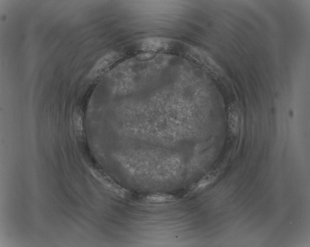 X0000077320375200611101504