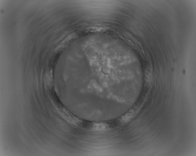 X0000077320376200611101504