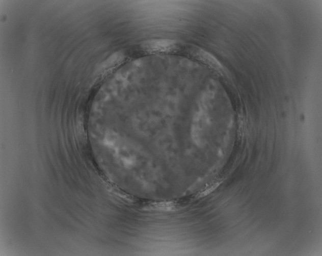 X0000077320377200611101504